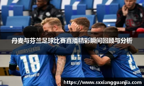 丹麦与芬兰足球比赛直播精彩瞬间回顾与分析