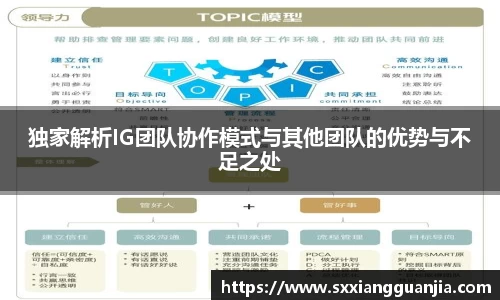 独家解析IG团队协作模式与其他团队的优势与不足之处