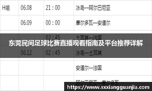 东莞民间足球比赛直播观看指南及平台推荐详解